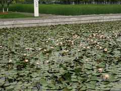-尚贤河湿地
