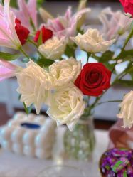 -哈颜科技轻美·