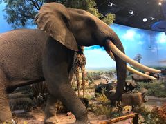 -陕西自然博物馆