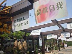 -荷兰花海