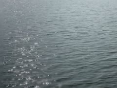 -阳澄湖半岛旅游度假区