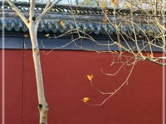 -钱王祠
