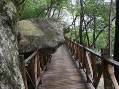 -青峰峡国家森林公园