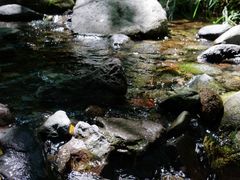 -云岫谷自然风景区