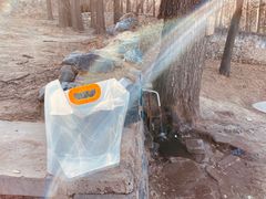 -阳台山自然风景区