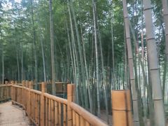 -陶祖圣境风景区