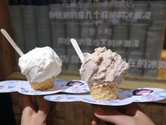 -野人先生现做冰淇淋(西安赛格店)