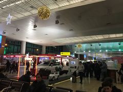 -谢列梅捷沃国际机场
