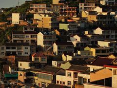 -枸杞岛