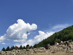 -灵山
