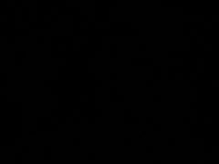 -东北四季饺子王(华山路店)