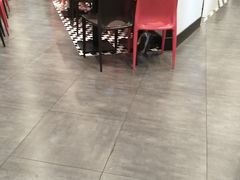 大堂-小杨生煎(龙之梦购物中心店)
