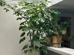 -自如ZSPACE四合院艺术餐厅