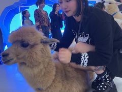 -Blue Concept Cafe&Farm·關於藍