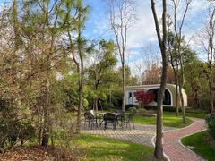 -上海海湾国家森林公园