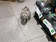 -FAELING PETS美天灵宠物(富力广场店)