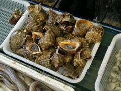 -渔满仓海鲜楼
