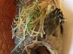 -顺峰(南二环店)