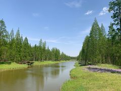 -黄海国家森林公园