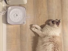 -喜多萌中农锦绣动物医院24H·猫科·牙科MRI·CT
