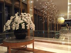 -视界美食自助餐厅·石家庄希尔顿酒店