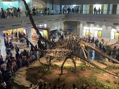 -自贡恐龙博物馆