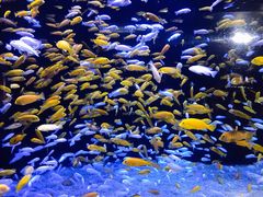 -成都浩海立方海洋公园