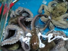 -正能量1号海鲜加工店