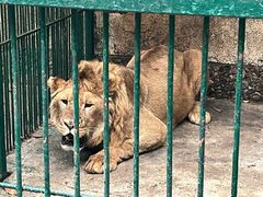 -揭东万竹园旅游景区