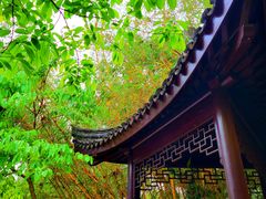 -深圳国际园林花卉博览园