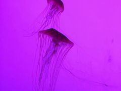 -沈阳海洋探索中心