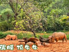 -广州长隆野生动物世界