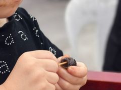 -白沙码头海鲜广场
