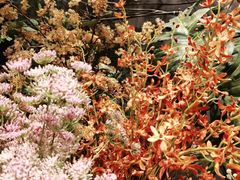 -探香儿融合餐厅(金碧源店)