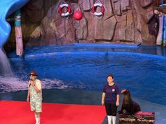 -烟台海昌鲸鲨海洋公园