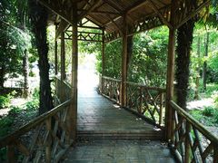 -上海滨江森林公园