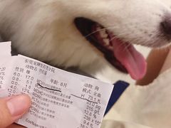 -宠颐生宠物医院外科·内科·皮肤科·影像科(石龙店)
