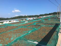 -枸杞岛