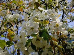 -白塘生态植物园