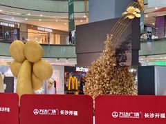 -万达广场(长沙开福店)
