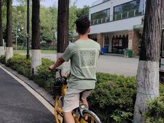 -东湖落雁景区