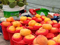 -东山风景区(洞庭东山)