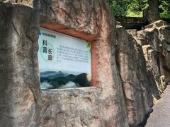 -南京老山国家森林公园