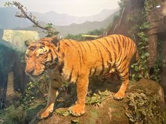 -陕西自然博物馆