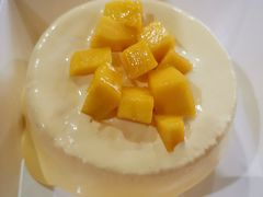 -糕小爱动物奶油生日蛋糕定制(晋江万达店)