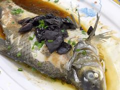 -茂港柏香(侨港路店)