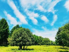 -塞罕坝国家级自然保护区