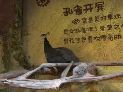 -奇幻萌宠部落(映月湖环宇城店)