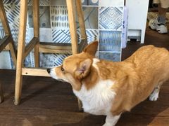 -Oasis coffee燕谷咖啡(公信店)