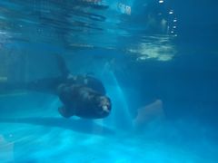 -青岛海底世界-水族馆